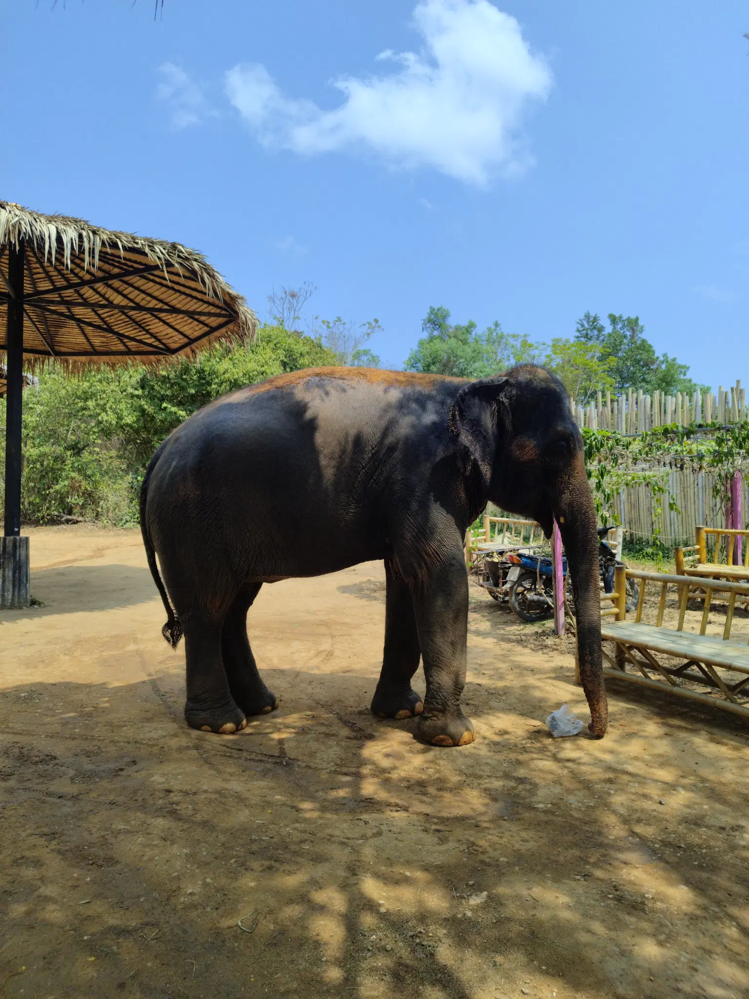 Photo from Chiraag Krishna's trip