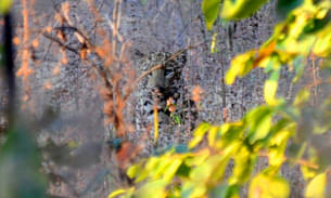 Jp1a2wu1auvjsqewqxz9cl8p20np 1536648396 31732129 10156491591174078 3216448587898552320 o