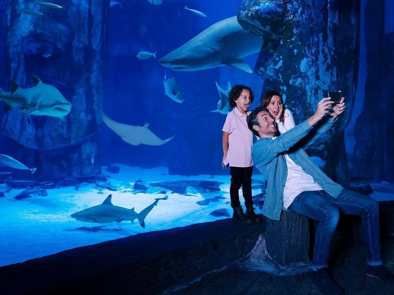 Take a tour of New Jersey SEA LIFE Aquarium and make beautiful memories with your loved ones 