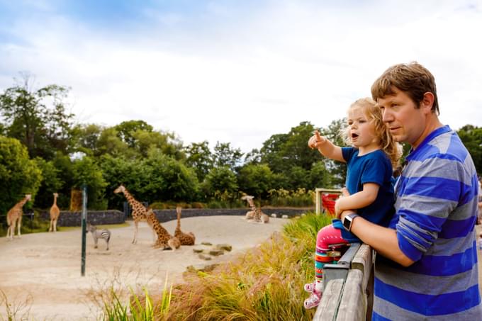 Dublin Zoo