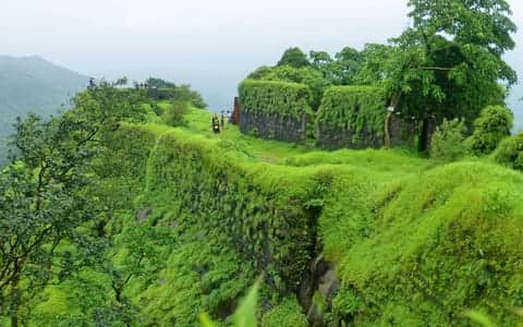Things to do in <em>Karnala</em>