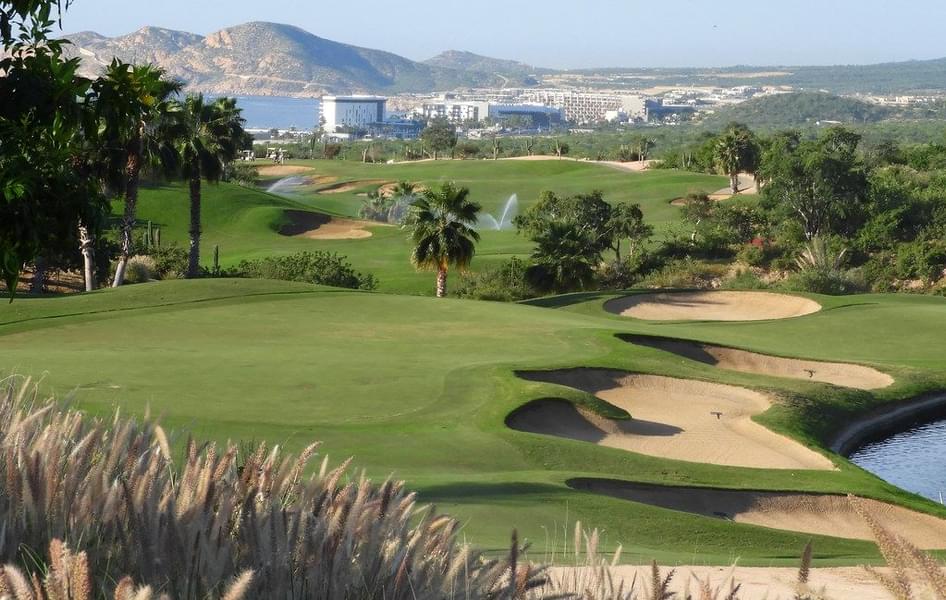 Play Golf In Cabo