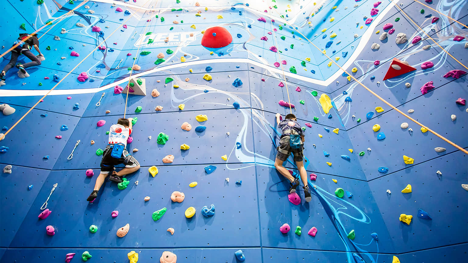 Visit Harbor Land and take part in various adventurous activities