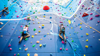 Visit Harbor Land and take part in various adventurous activities