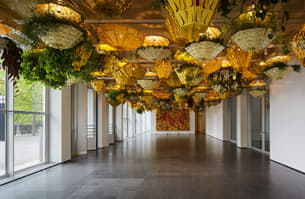 Jqz3dcg9kjaatovxbq9qtrriq9k5 mca 1800x1172