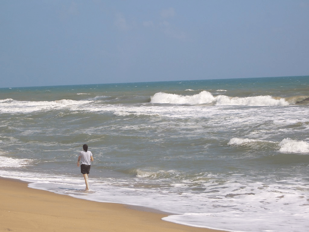 Auroville Beach, <em>Pondicherry</em>