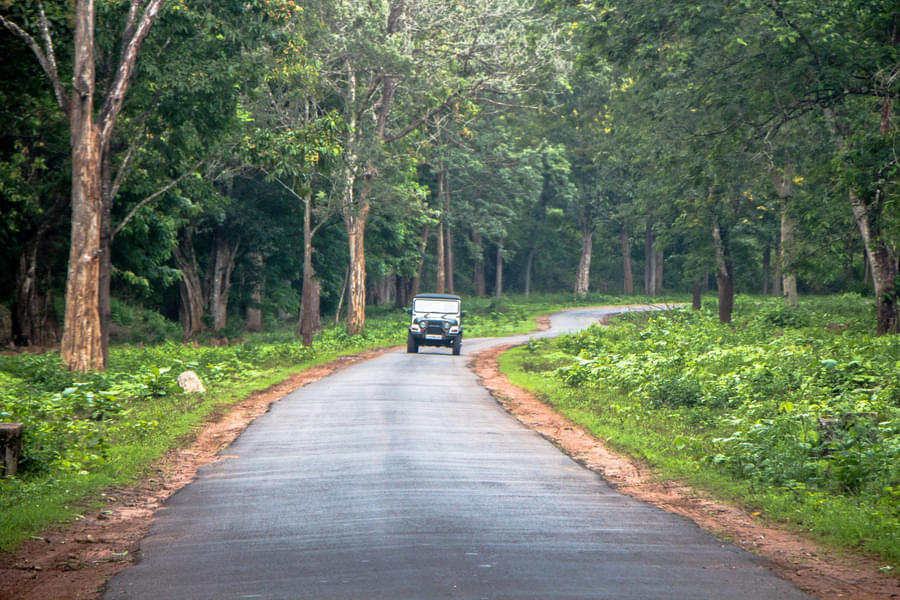 Offroad Jeep Safari To Mullayanagiri Coffee Estates Image