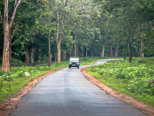 Offroad Jeep Safari To Mullayanagiri Coffee Estates