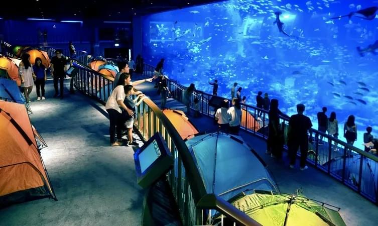 SEA Aquarium