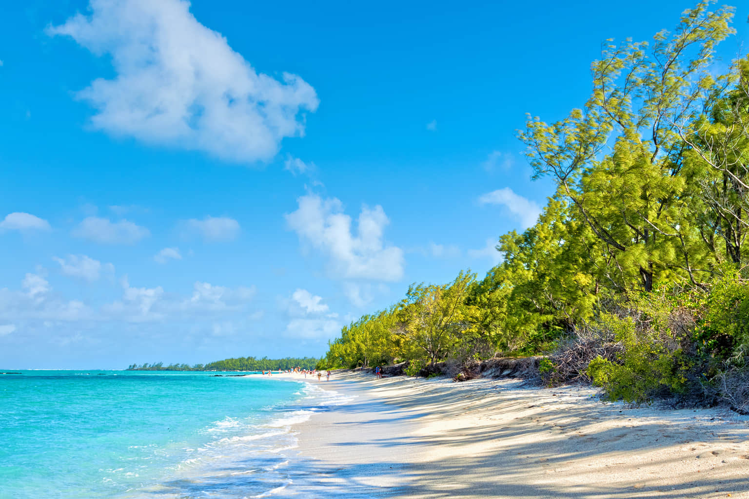 Ile Aux Cerfs, <em>Mauritius</em>