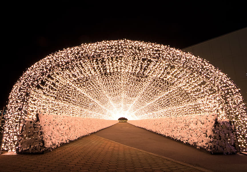 Tokyo Mega Illumination Tickets Image