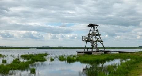 Enjoy the Views from the Watch tower
