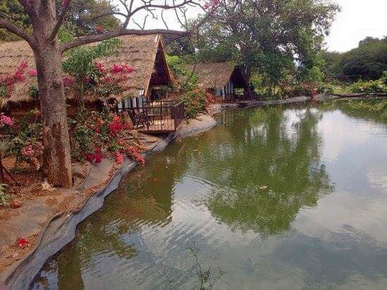 Photo from Tara Sharma's trip