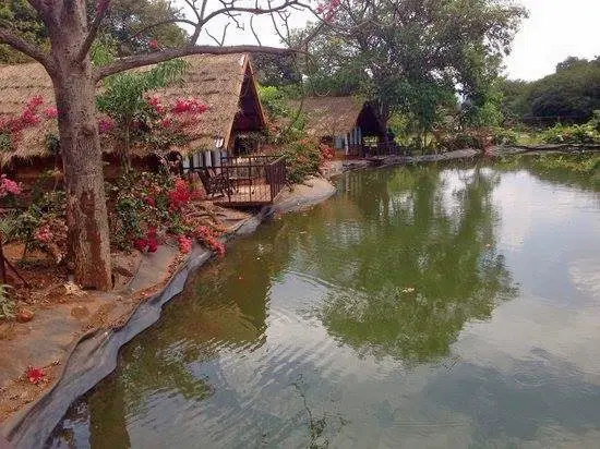 Photo from Tara Sharma's trip