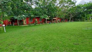 Jsycl38mhqfoqpww9xfcjap9yutc panther1