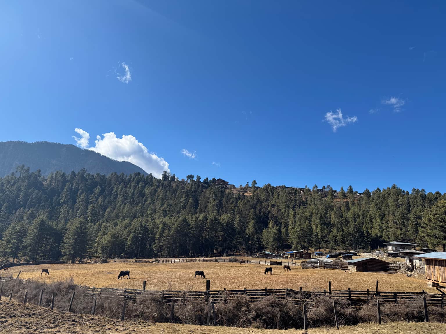 Photo from ronak Sharma's trip