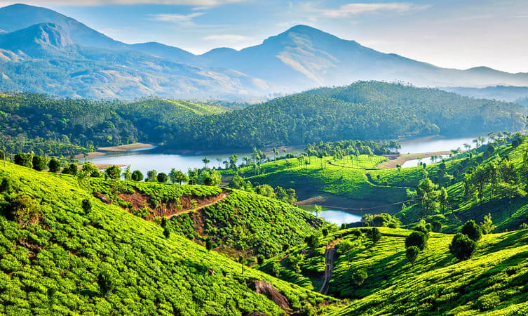 Admire Kerala's scenic beauty on your honeymoon 
