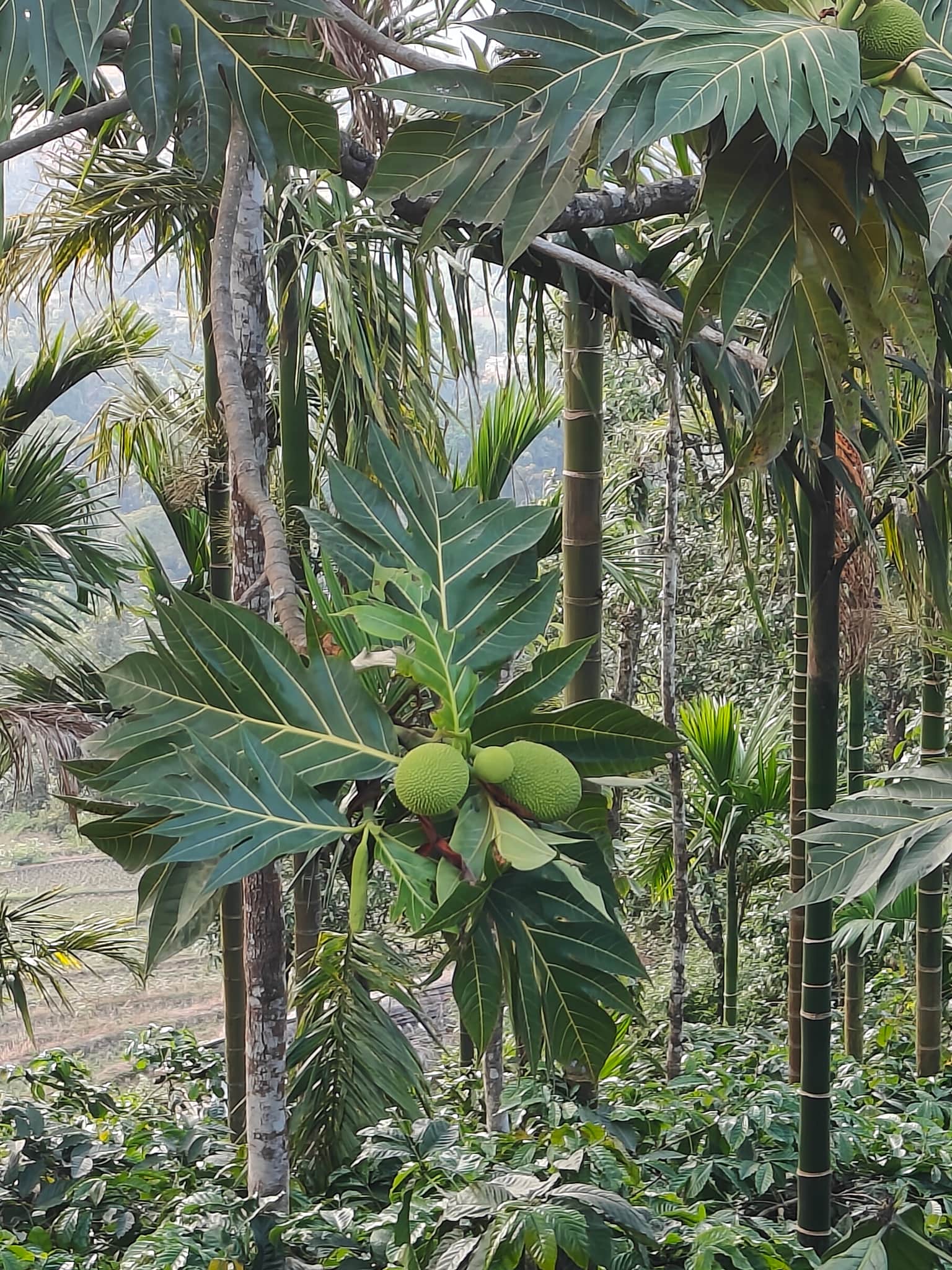 Photo from Darshan Darshan's trip