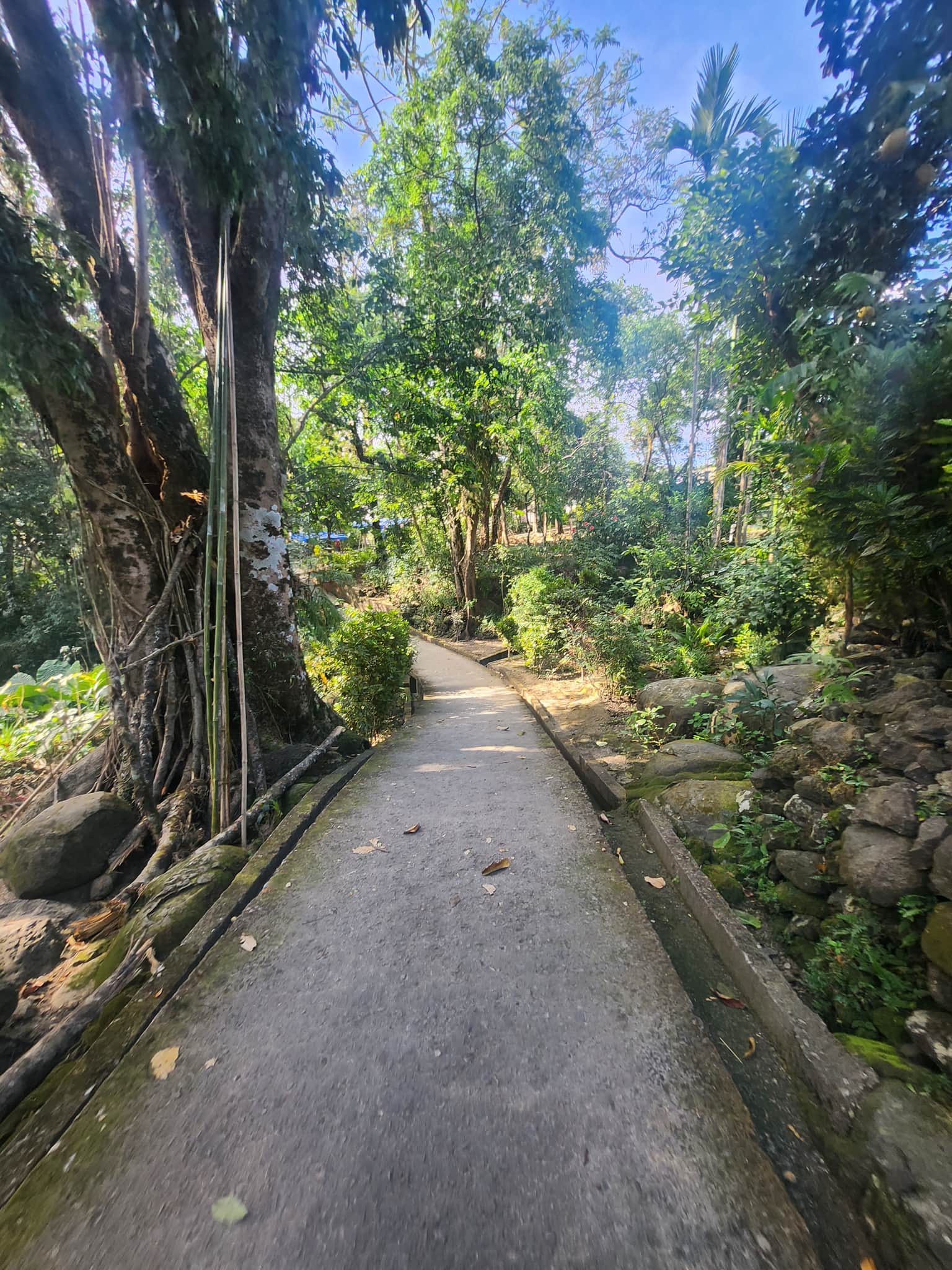 Photo from chandani naik's trip
