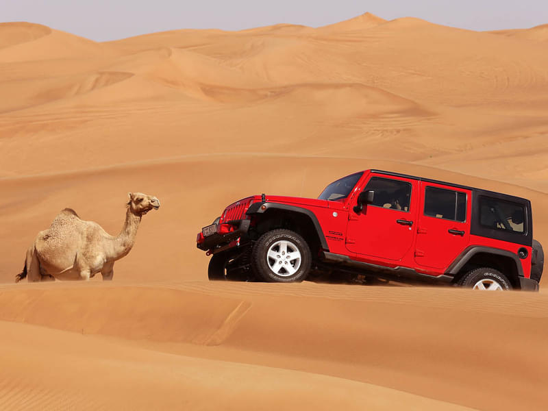 Dune Bashing Desert Safari Trip, Jeddah Image