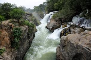 Book a trip to Hogenakkal Falls and enjoy the stunning views of the cascading water, rocky landscape, and lush greenery