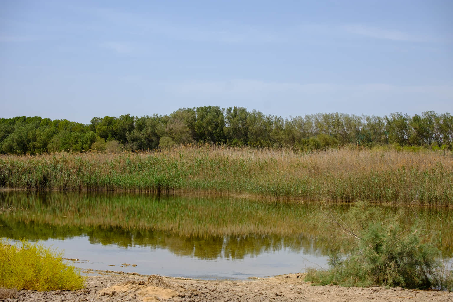 Take a Guided tour of Reserve
