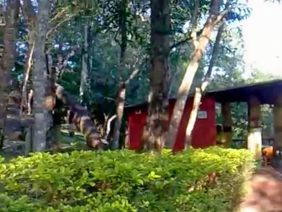 Photo from Rageshwari Deshpande's trip