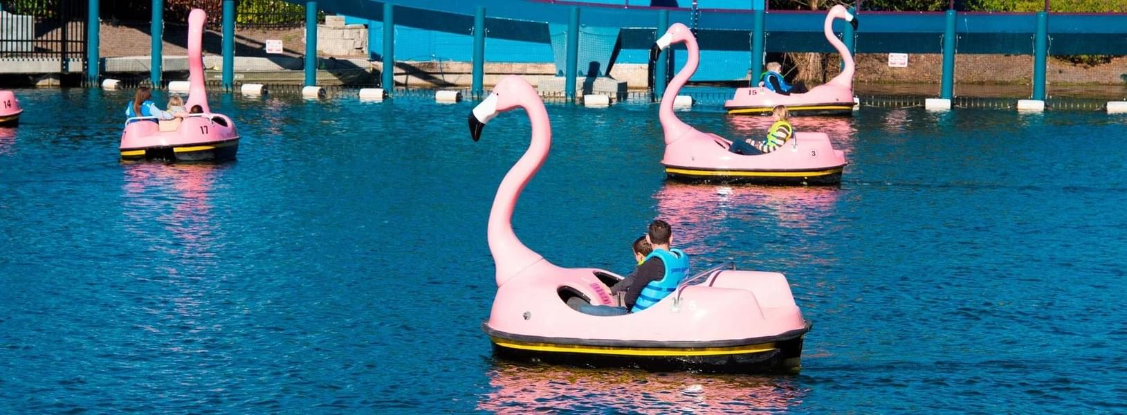 Seaworld Orlando 5.jpg
