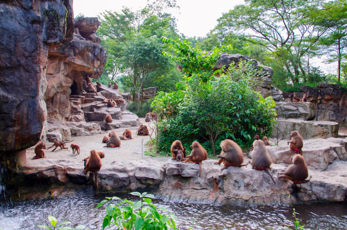 Singapore zoo in day