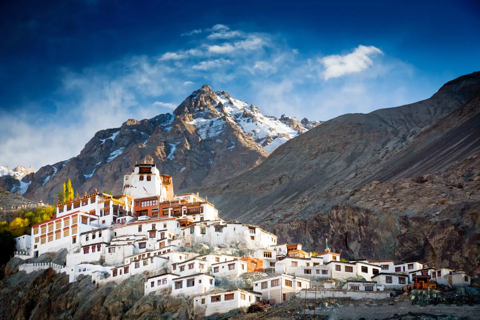 Aerial view of Thiksey Monastery