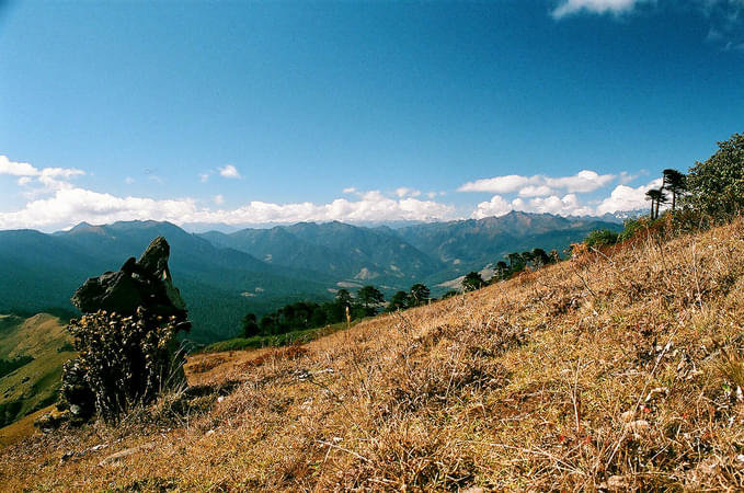 Bumthang Owl Trek