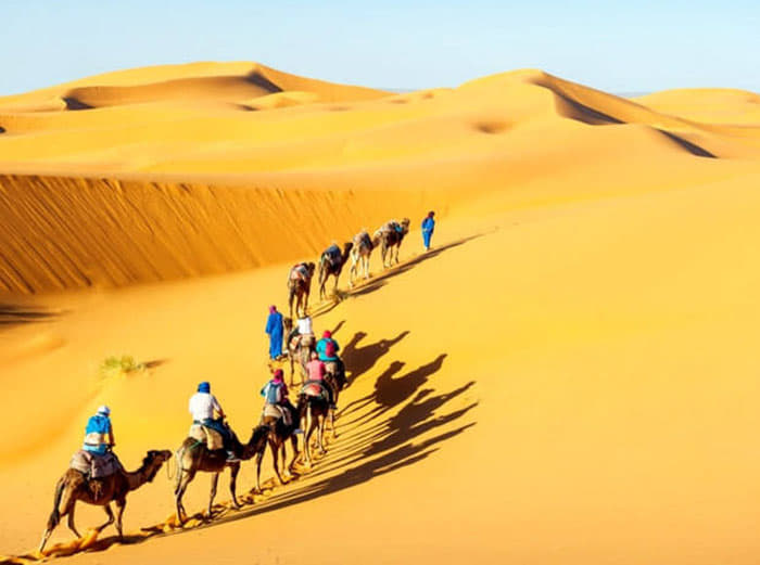 Star Desert Camp Jaisalmer Image