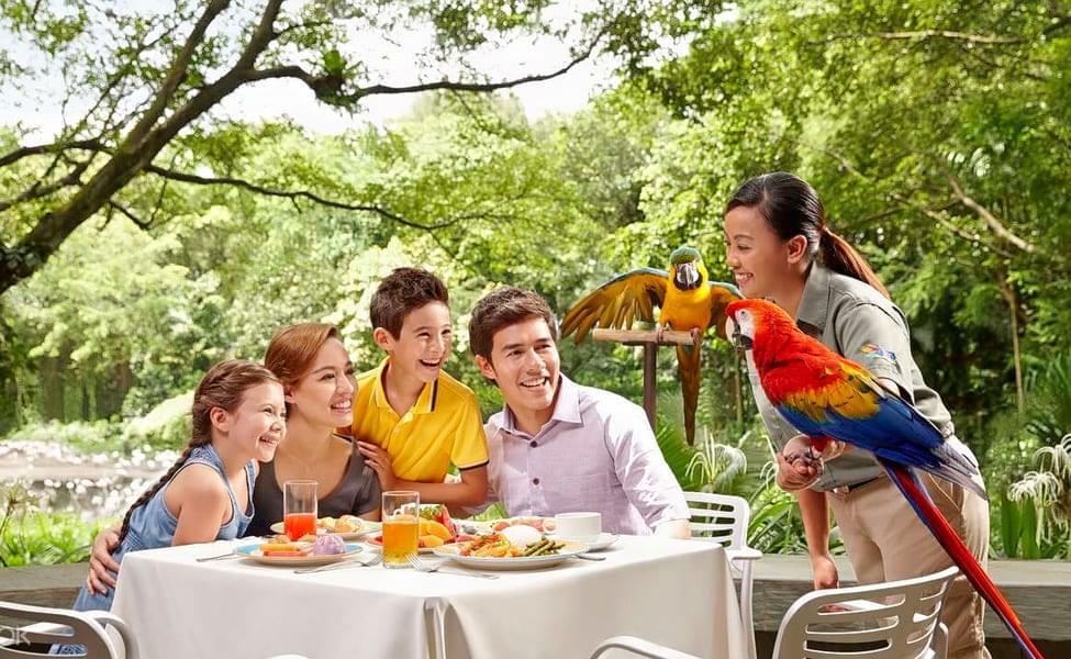 Have Lunch with Parrots