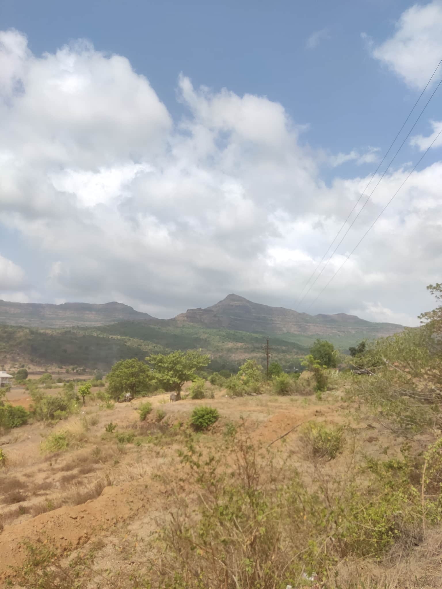 Photo from Kalyani Gadre's trip
