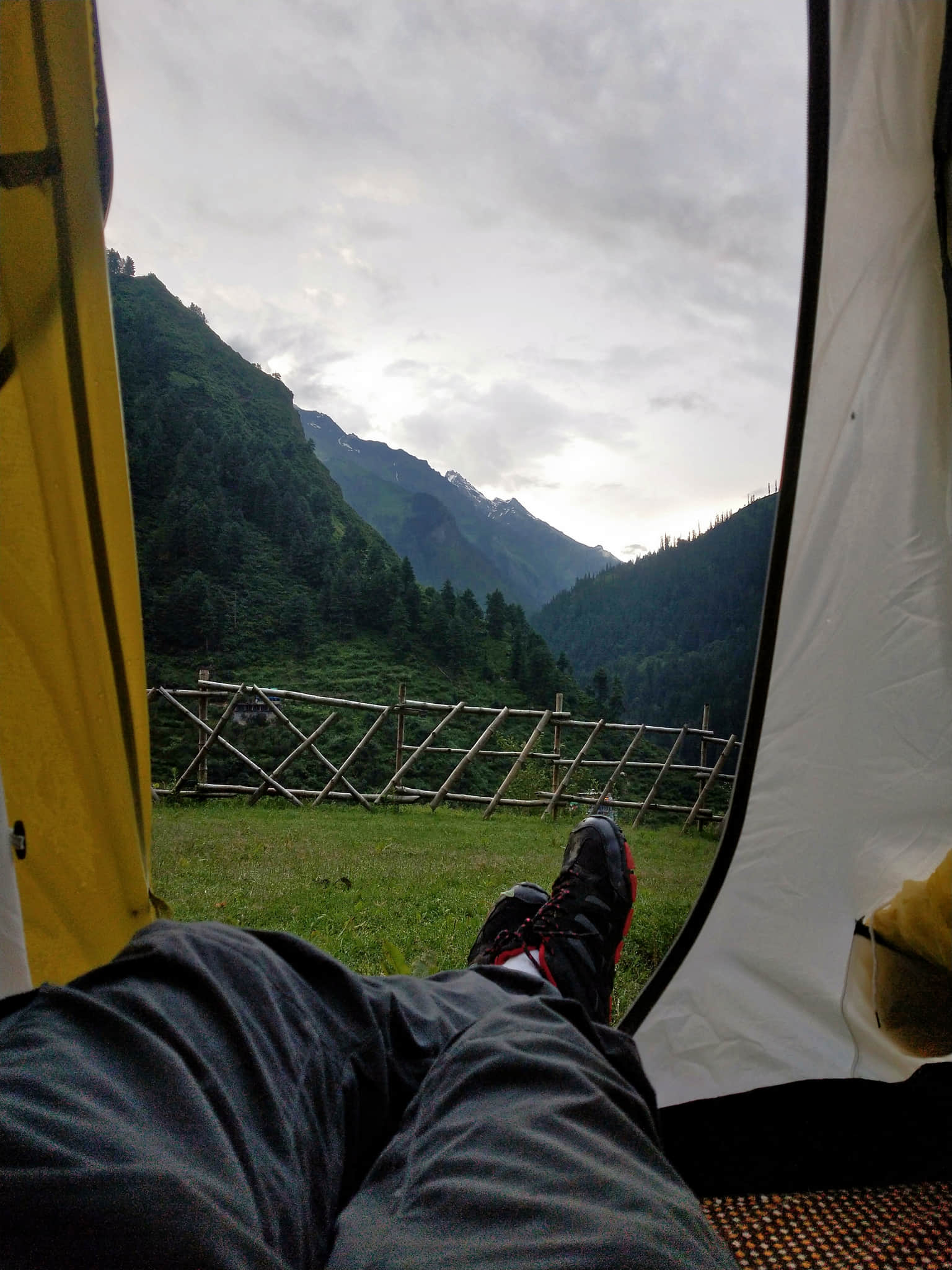 Traveller photo