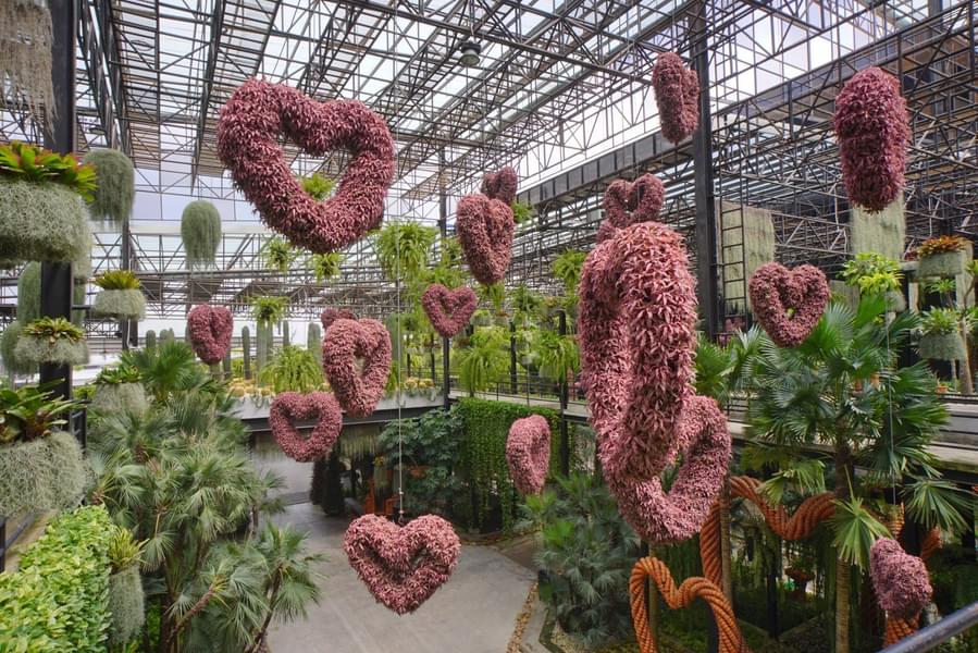See the plants placed with amazing hanging methods