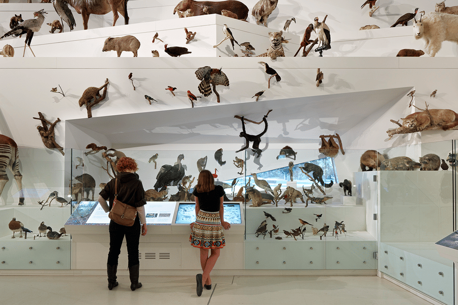 Melbourne Museum Admission Ticket Image