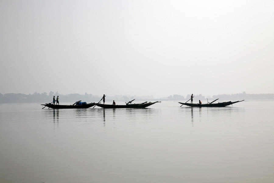 Sundarban Tour By Cruise From Kolkata Image
