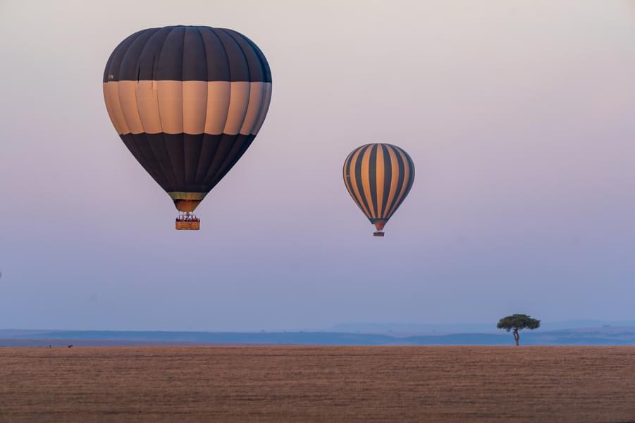 Plan Your Visit to Hot Air Balloon