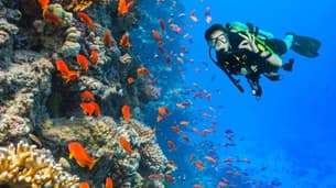 Jxprkhiuf9xexp35m2byzyuxrzn2 optimized uqfg 1200x675