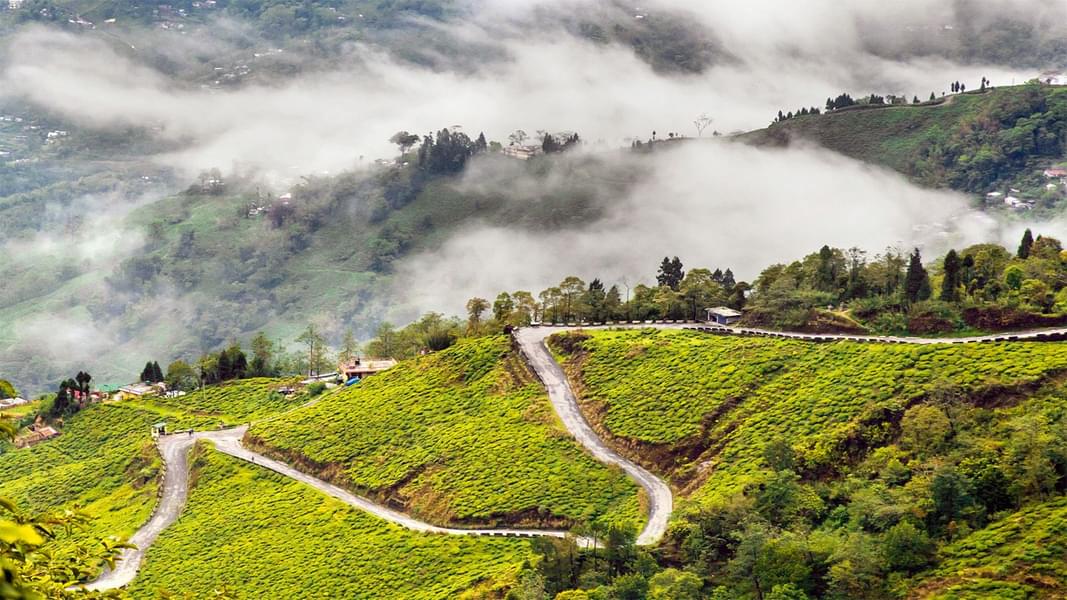 Gangtok Pelling Darjeeling | FREE Ropeway Adventure Image