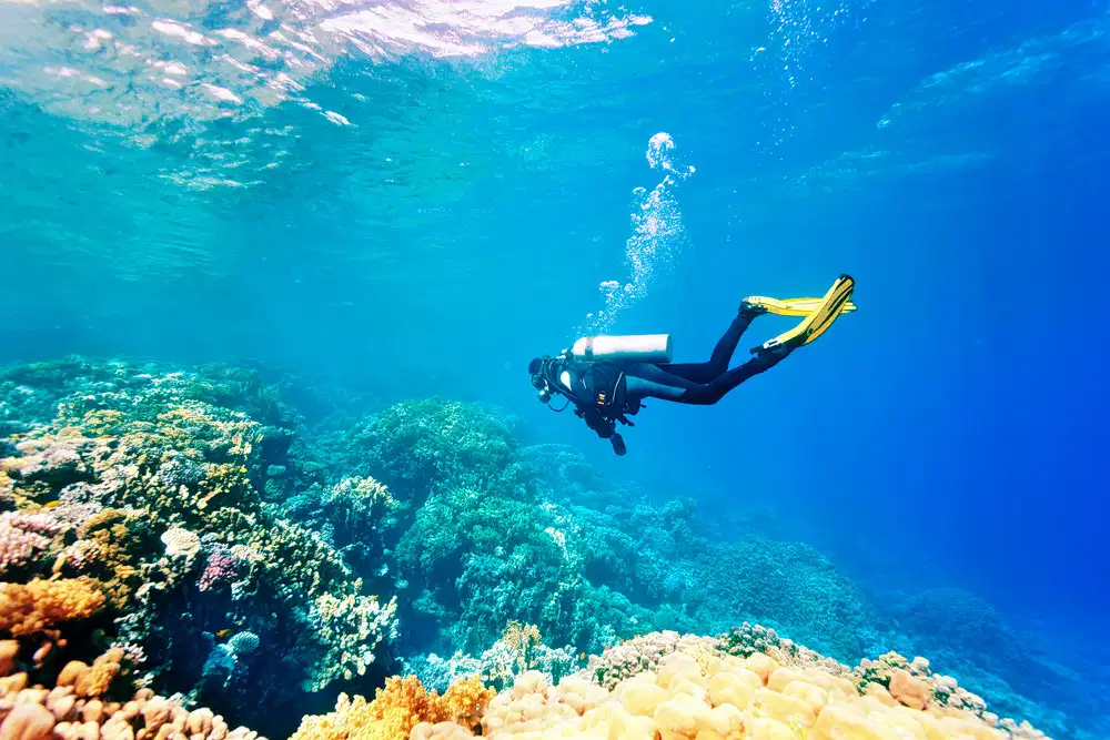 Scuba Diving in Kochi