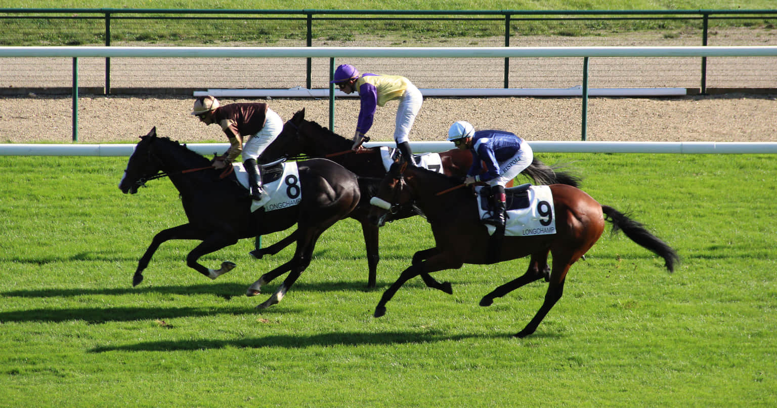 Longchamp Racecourse