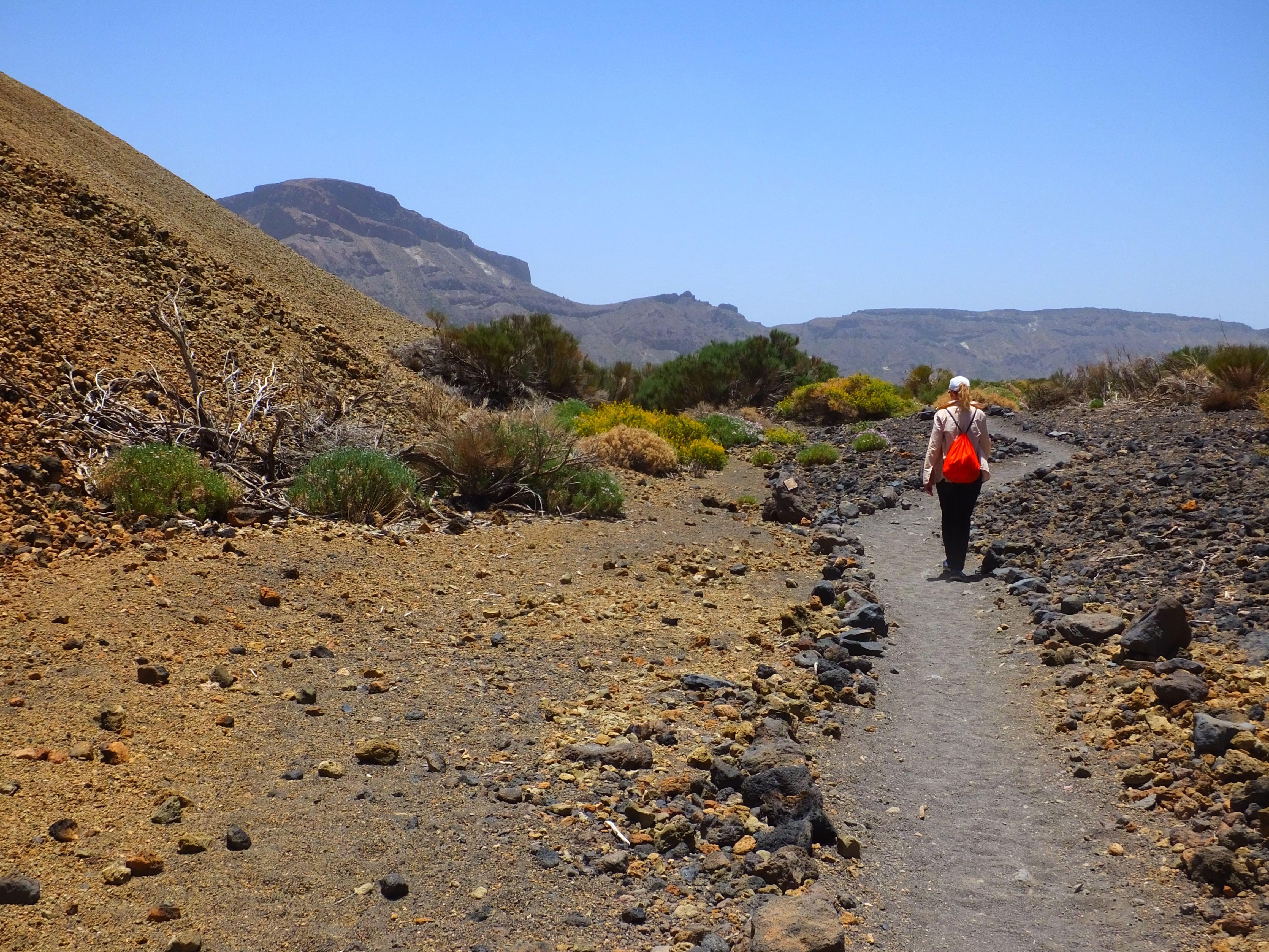 Mount Teide Walking Routes