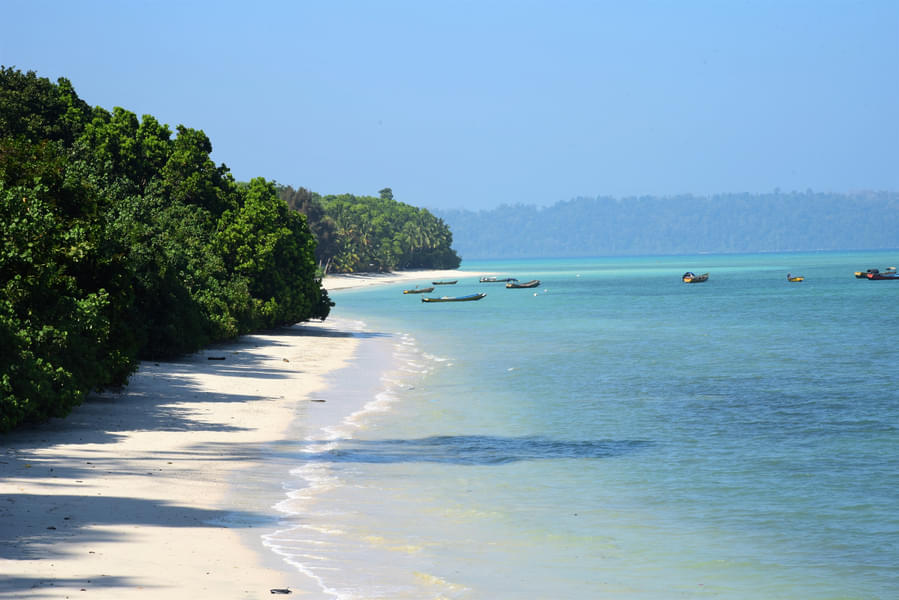 5 Days Budget Andaman Tour Package: Havelock Special Image