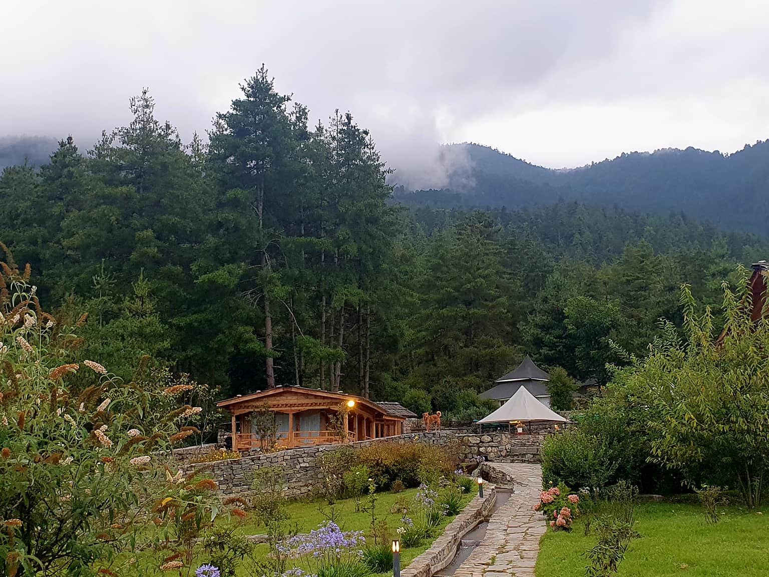 Photo from Vaneet Sekhon's trip