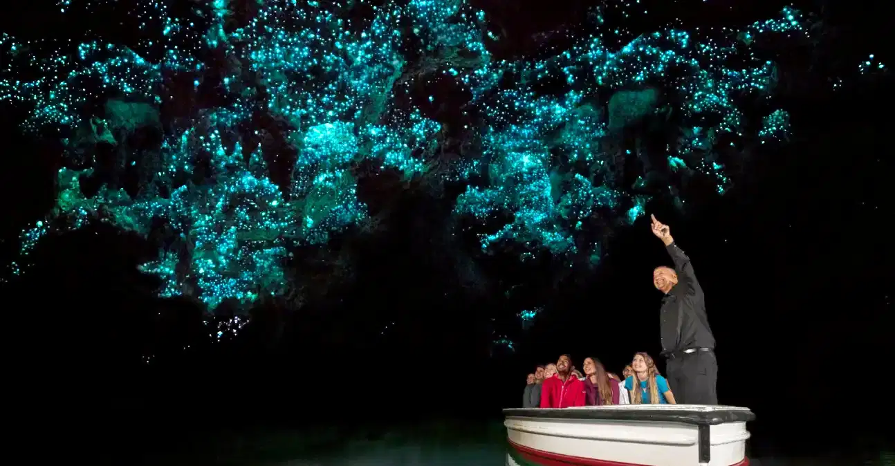 Waitomo Glowworm Caves Tour in Auckland