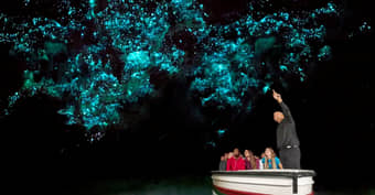 Waitomo Glowworm Cave