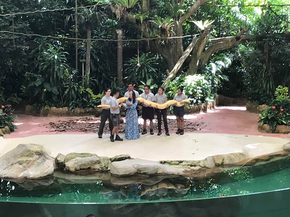 Rainforest Fights Back Show