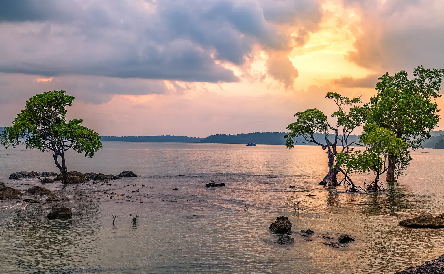  Best Port Blair Tour Packages for Family